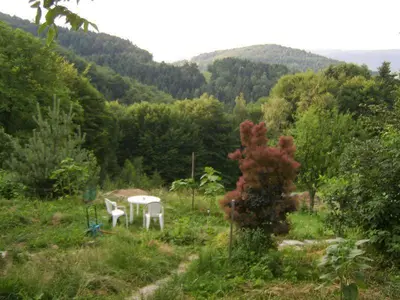 a table and chairs in a field with trees at Agroturystyka Millerówka in Kamionka Mała