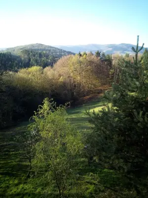 a view of a field with trees and hills at Agroturystyka Millerówka in Kamionka Mała
