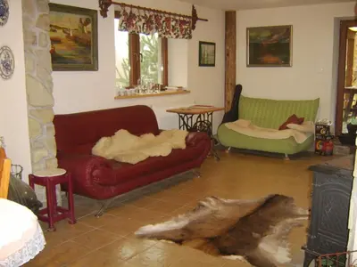a living room with two couches and a fireplace at Agroturystyka Millerówka in Kamionka Mała