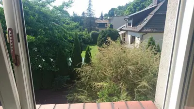 an open window with a view of a garden at 2d likwi klimatyzacja mieszkanie z kuchnią normalne dwupokojowe in Kraków