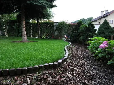 a garden with a path in the grass at Najlepsze Miejsce - pokoje i apartamenty w Krakowie in Kraków