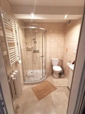 a bathroom with a shower and a toilet at Wyspani Zator in Zator