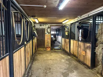 a horse is sticking its head out of a stable at Koperkowe Rancho Beskid Wyspowy Domek Małopolskie KAMIONNA in Kamionna