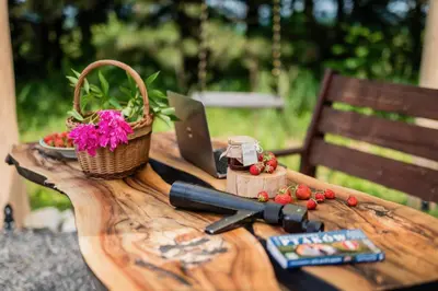 a picnic table with a laptop and a basket of fruit at Jurta Jura polna in Przybysławice