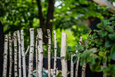 a white picket fence in a garden at Jurta Jura polna in Przybysławice