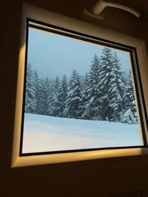 a window in a train with snow covered trees at Forest house in Targanice