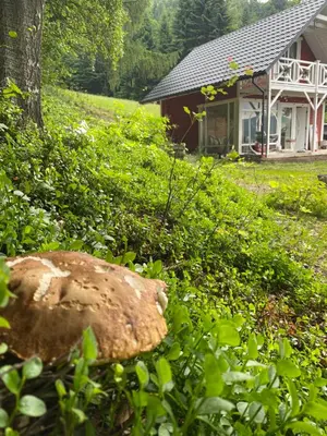 a house in a field with a large rock in front of it at Forest house in Targanice