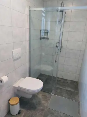 a bathroom with a toilet and a shower at Zasankowe Wzgórze in Zasań
