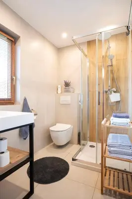 a bathroom with a shower and a toilet and a sink at Kamyczkowy domek w Zawoi in Zawoja