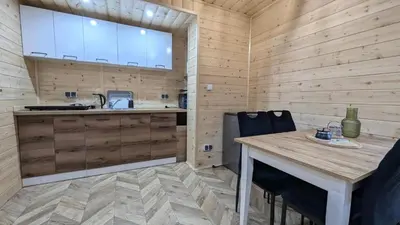 a bathroom with a toilet and a glass door at Domek wypoczynkowy Górskie Zacisze in Sidzina
