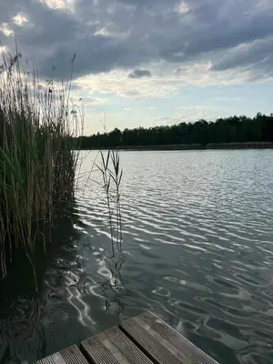 a view of a lake with a wooden dock at Mieszkaj U Marty in Jaworzno