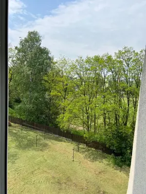 a view of a yard with a fence and trees at Mieszkaj U Marty in Jaworzno