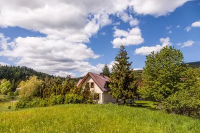 a house on a hill with green grass and trees at Dom na Wielkiej Polanie in Sidzina