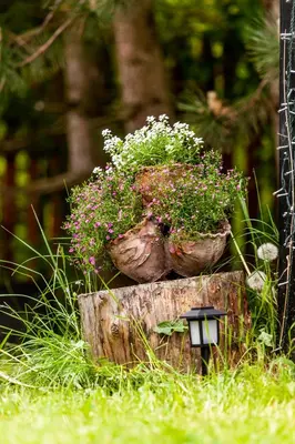 two pots of flowers sitting on top of a stump at Dom na Wielkiej Polanie in Sidzina