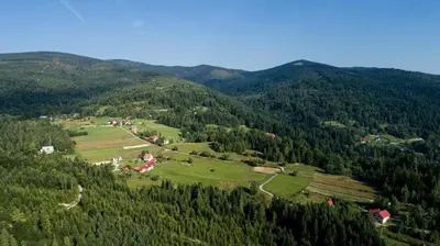 an aerial view of a green valley with trees at Dom na Wielkiej Polanie in Sidzina