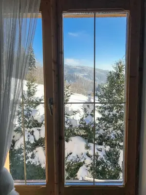 a window with a view of a snow covered tree at Dom na Wielkiej Polanie in Sidzina