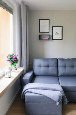 a blue couch in a living room with a window at Telimeny 31 in Kraków