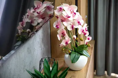 a white vase filled with pink flowers on a ledge at Apart Dwudziestolecie in Wadowice