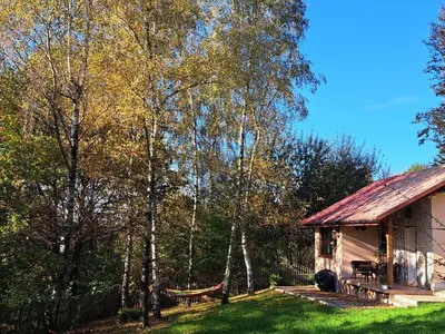 a house with a hammock in a yard next to trees at Brzozowy Zakątek in Bochnia