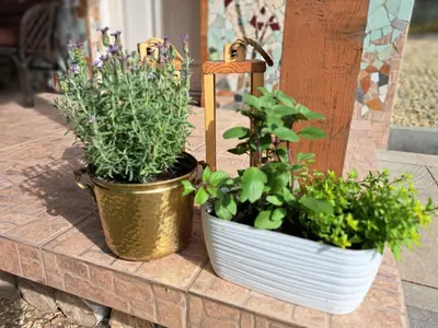two potted plants sitting on a brick wall at Brzozowy Zakątek in Bochnia