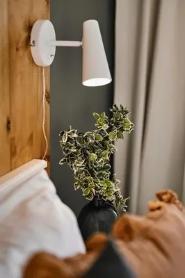 a vase with a plant in it next to a lamp at Vermelo Boho Apartment in Kraków