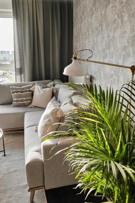 a living room with a couch and a plant at Vermelo Boho Apartment in Kraków