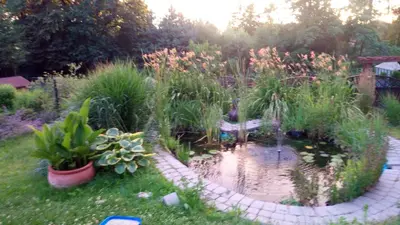 a garden with a pond with plants and a fountain at Cztery Pory Roku pokoje z łazienkami do wynajęcia in Osiek