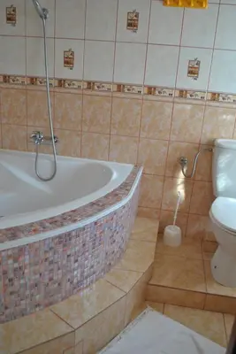 a bathroom with a bath tub and a toilet at Flamingo in Poręba Żegoty