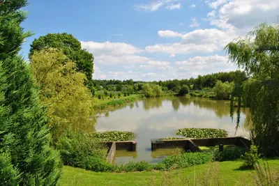 a river in the middle of a park with trees at Flamingo in Poręba Żegoty