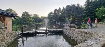 a group of people walking over a bridge over a pond at Domek Nad Stawem I in Limanowa