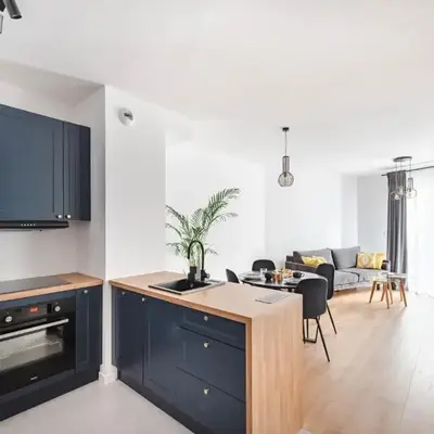 Spacious and modern Apartment Lwowska