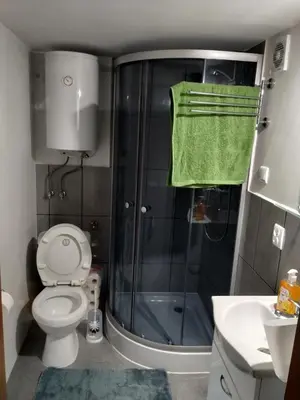 a bathroom with a shower and a toilet and a sink at Domek w Bieńkówce in Bieńkówka