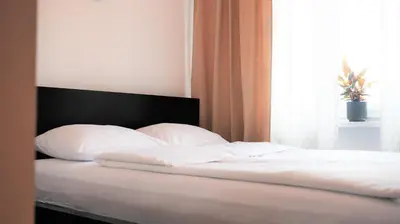 a green vase with bamboo sticks in it next to a bed at Apartament ENJOY Zator - z widokiem na Energylandie in Zator