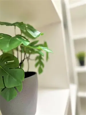 a plant in a black pot sitting on a table at LUXURY 100m2 LOFT Design-Apartment at WAWEL + Netflix in Kraków