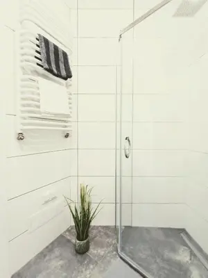 a shower with a glass door and a potted plant at 34m2 apartament w centrum Krakowa in Kraków