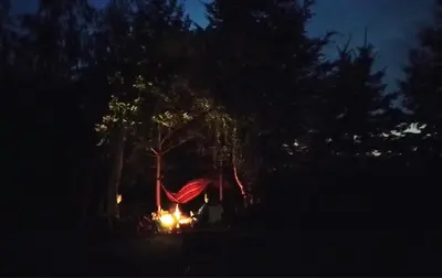 a campsite with a hammock in the woods at night at Małopolskie Swojskie in Olszyny