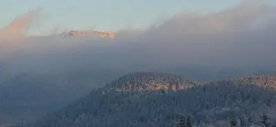 a view of a mountain covered in clouds and trees at Panorama Beskidu in Skrzydlna