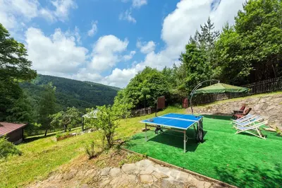 a blue ping pong table on a green lawn at Chata pod 7 lipami in Jaworzna