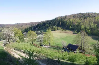 a view of a farm with a field and trees at Chata pod 7 lipami in Jaworzna