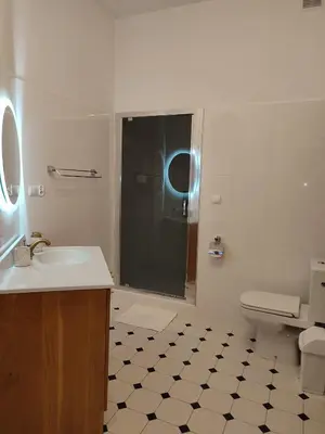 a bathroom with a shower and a sink and a toilet at Willa Emil z BALIĄ ogrodową in Stróża