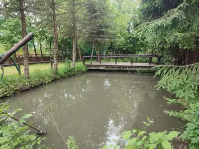 a pond with a bench in a park with trees at Willa Emil z BALIĄ ogrodową in Stróża