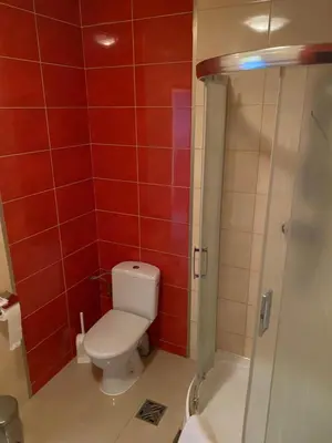 a bathroom with a toilet and a shower with red tiles at Zajazd Miechus in Miechów