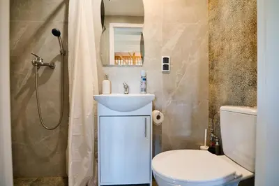 a bathroom with a sink and a toilet and a shower at 3 Stodoły-domek 1 in Zator