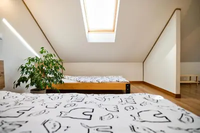 a bedroom with a bed and a skylight at 3 Stodoły-domek 1 in Zator