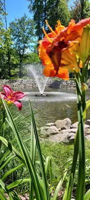 a fountain in front of a pond with flowers at Apartamenty Oświęcim klimatyzacja air-conditioned in Oświęcim