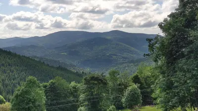 a view of a mountain range with trees and mountains at Zacisze na Wzgórzu in Zawoja