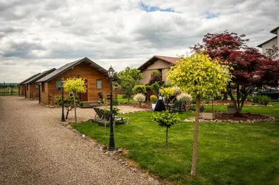 a log cabin with trees in the yard at Relax domki Zator in Zator