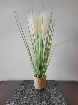 a potted plant sitting on top of a table at Apartament Dark Chocolate 4 persons Down Town in Kraków