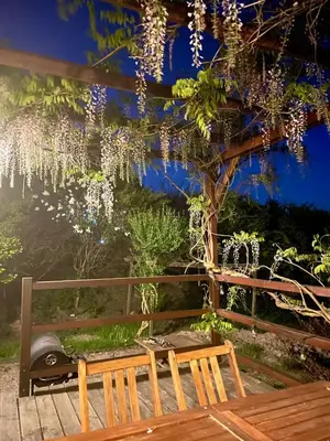 a bench and a tree with white wreaths at Uroczy dom i bezpłatny parking in Mników