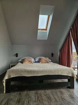 a bedroom with a bed with a skylight at Cienista Dolina in Brzoskwinia